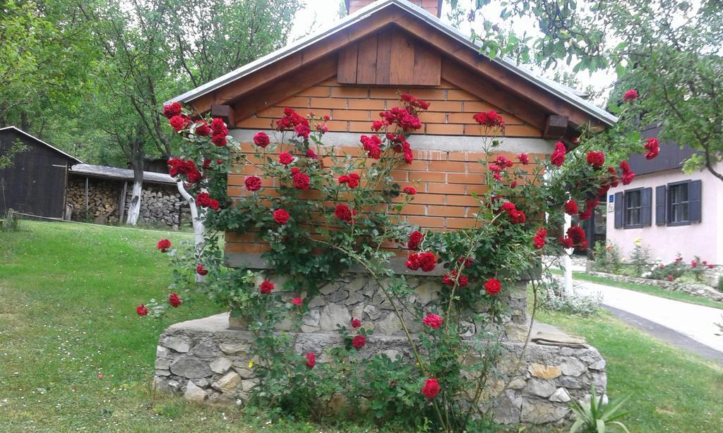 Guesthouse Andrea Poljanak Exterior foto